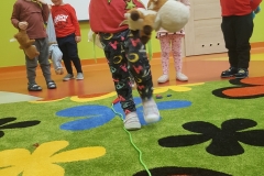 20181126_095848