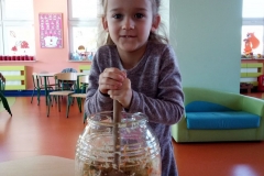 Kiszenie kapusty i ogórków