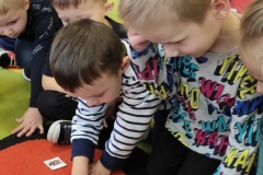 79901376_445146906103815_3841492803368517632_n