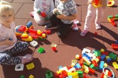 70917893_520515198744734_4505993474637561856_n