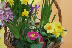 20190306_103459