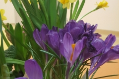 20190306_103525