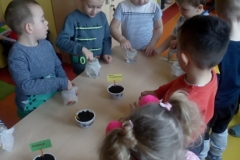 53648500_547110059025815_3320246930851758080_n